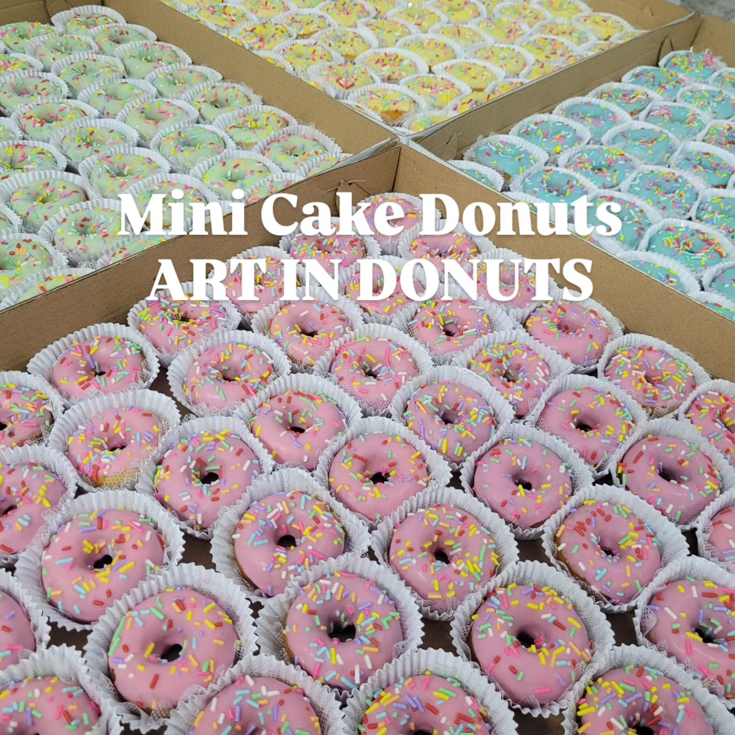 ART IN DONUTS